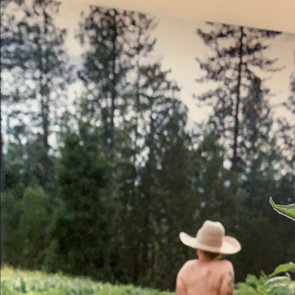 Meet your Posher, Liz